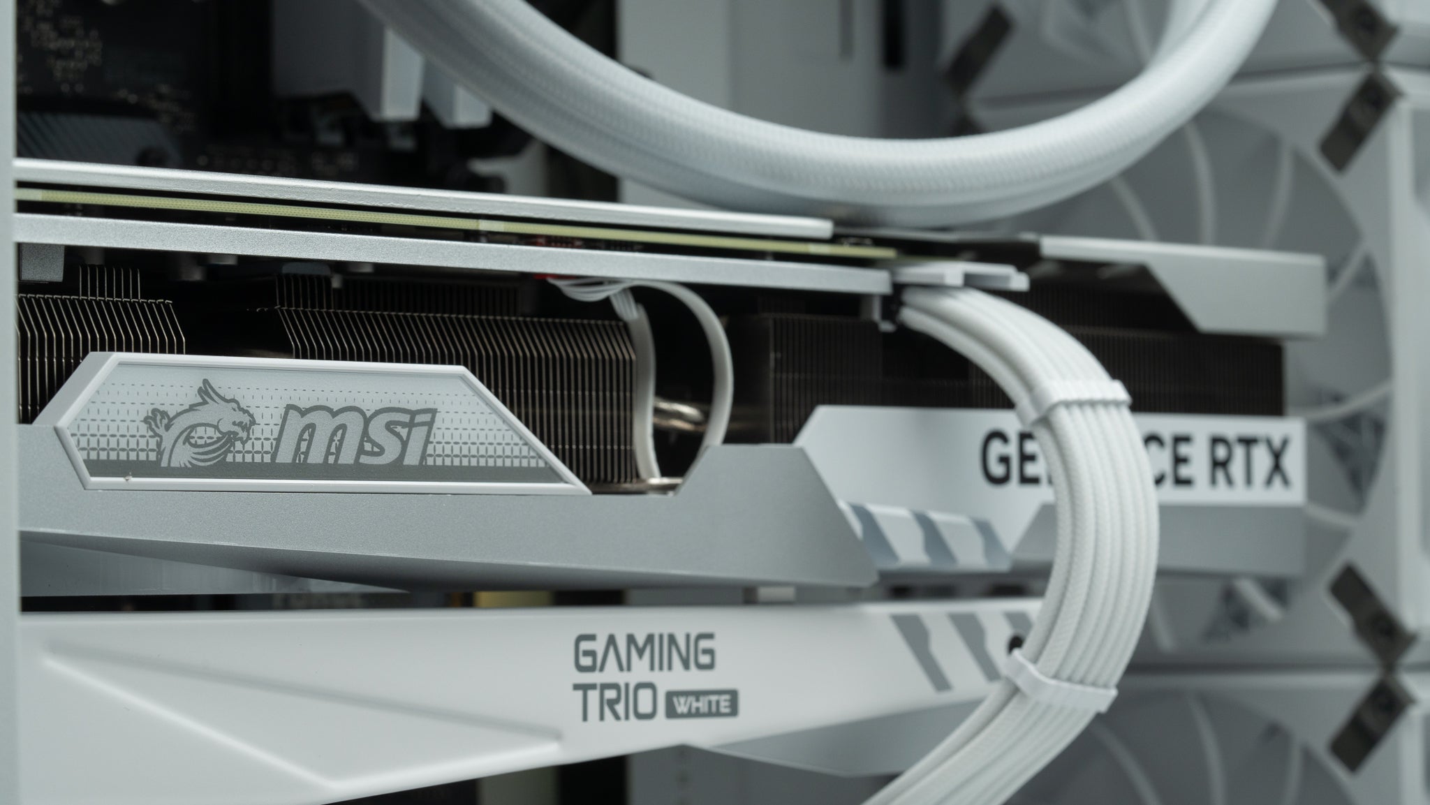 The Spartan - Intel - White