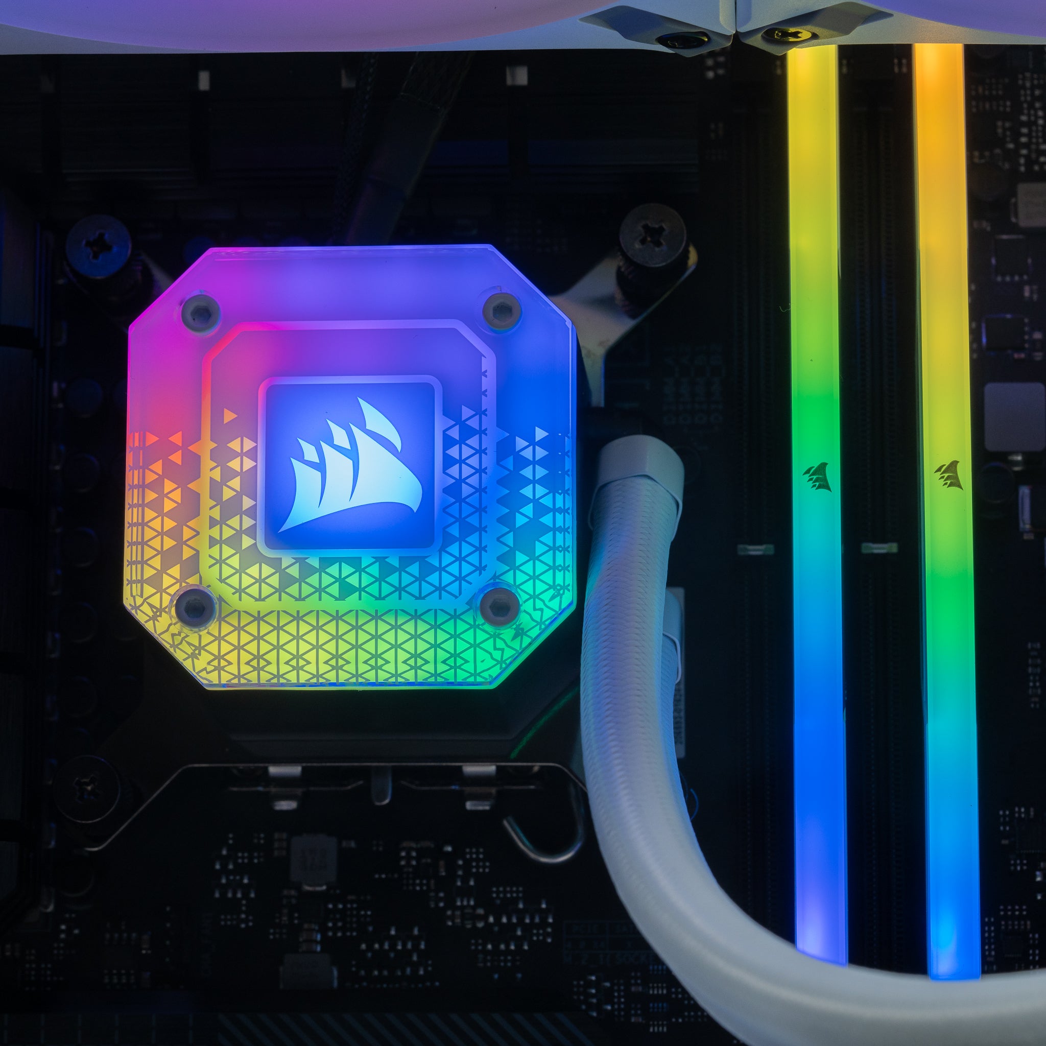 The Spartan - Intel - White