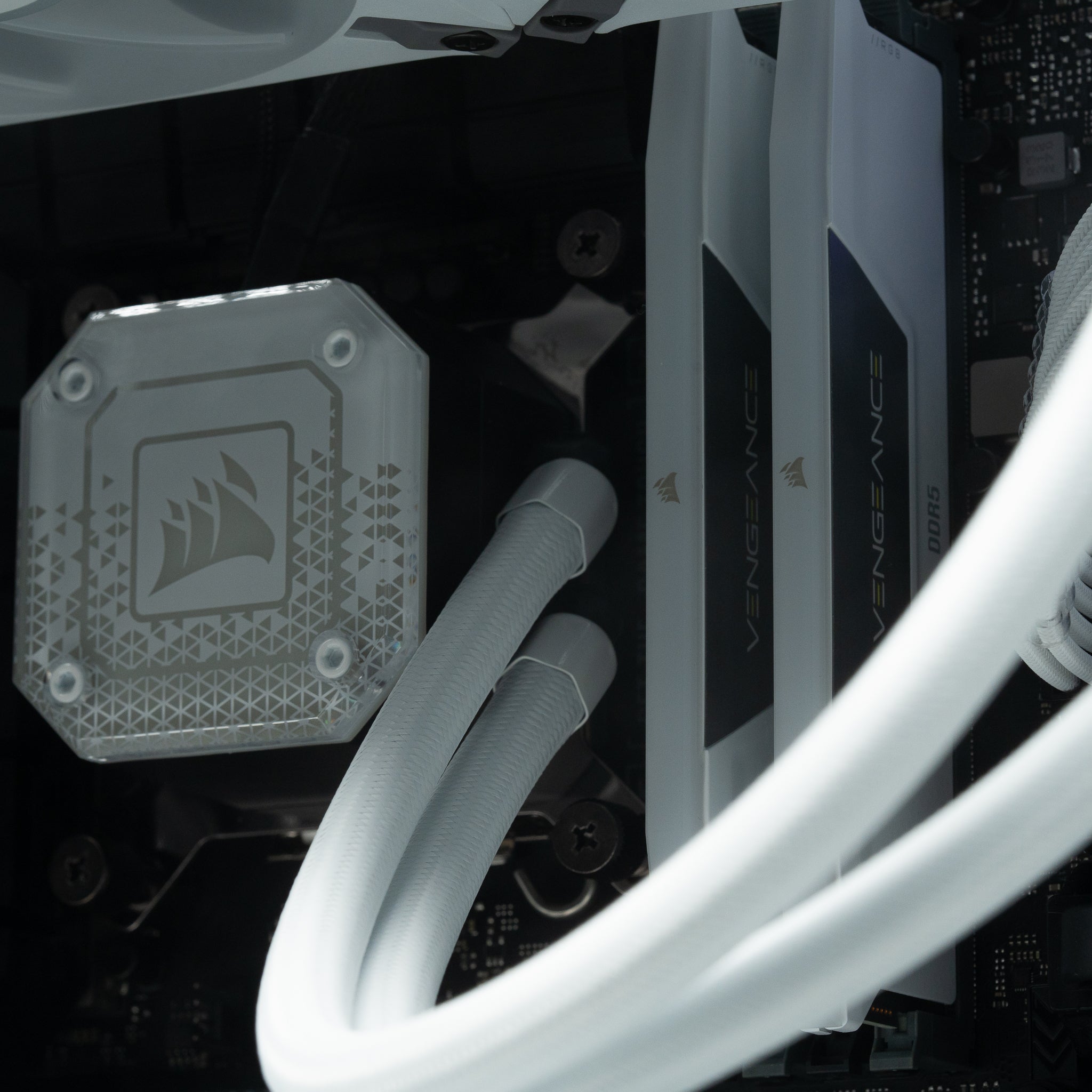 The Spartan - Intel - White