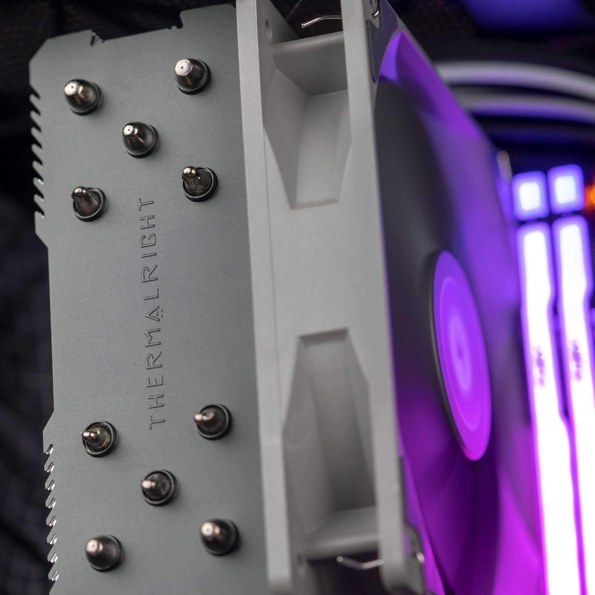 The Actuarius - Intel - Black