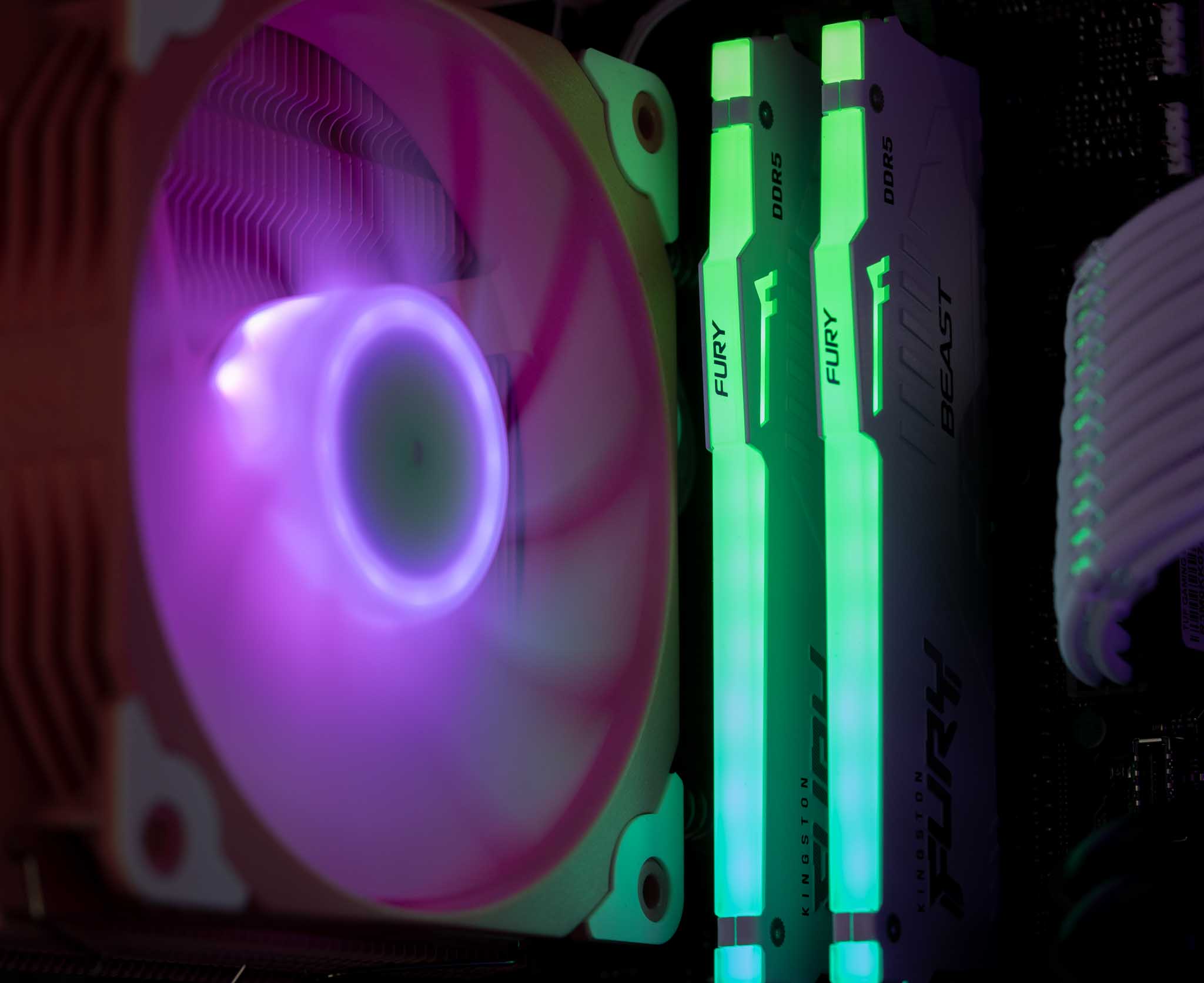 The Peltast - Intel - Pink