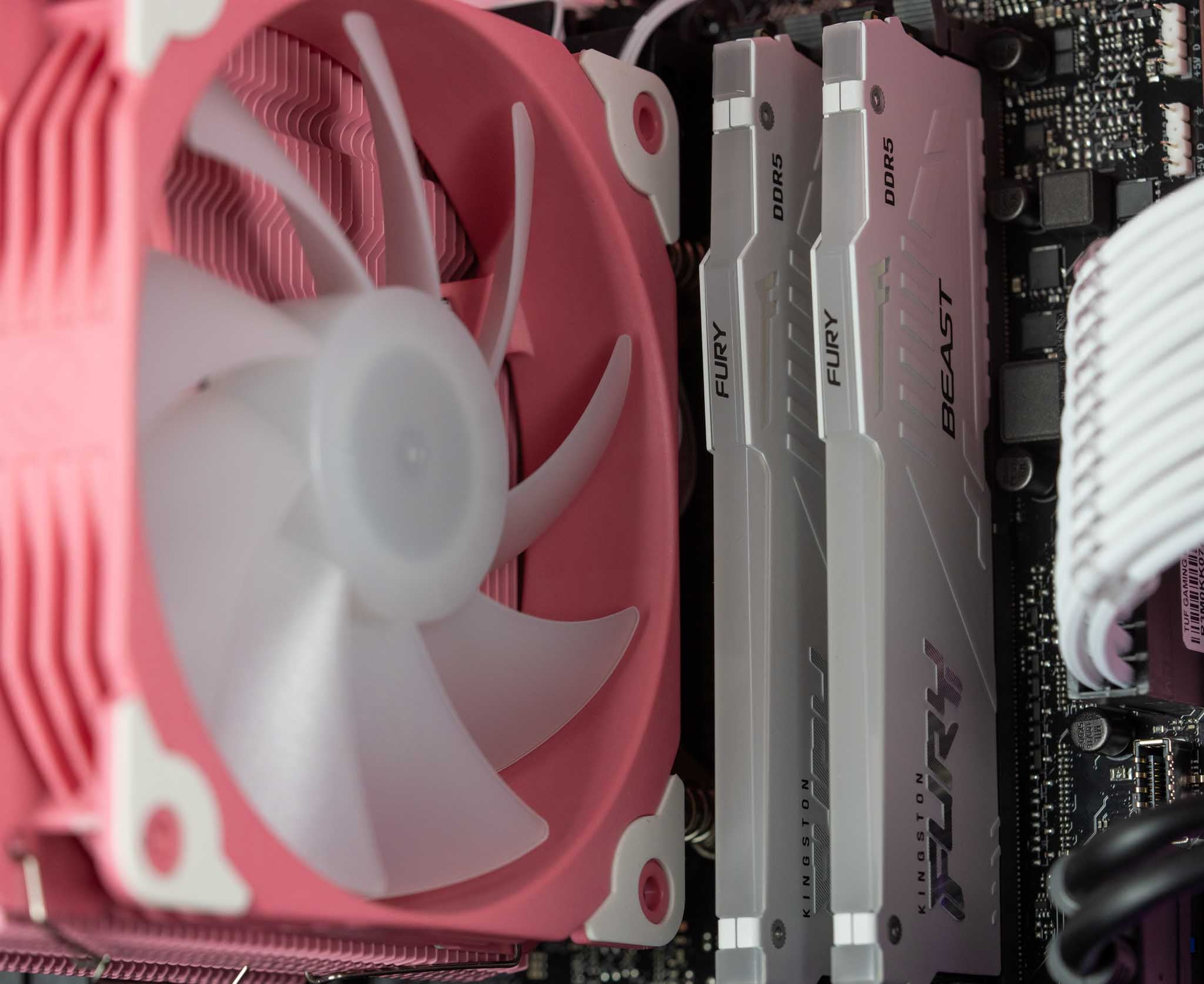 The Peltast - Intel - Pink