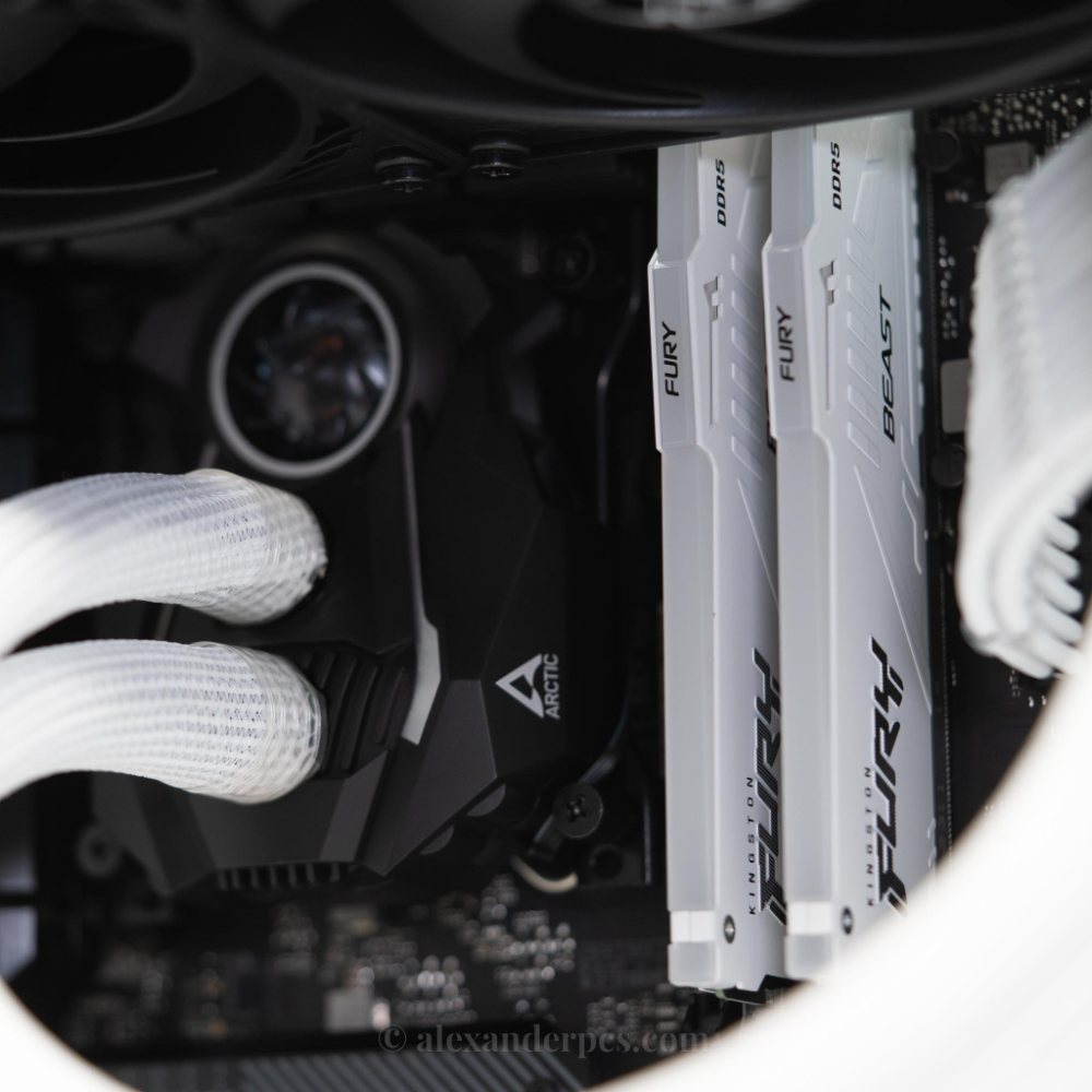The Legionnaire - Intel - White