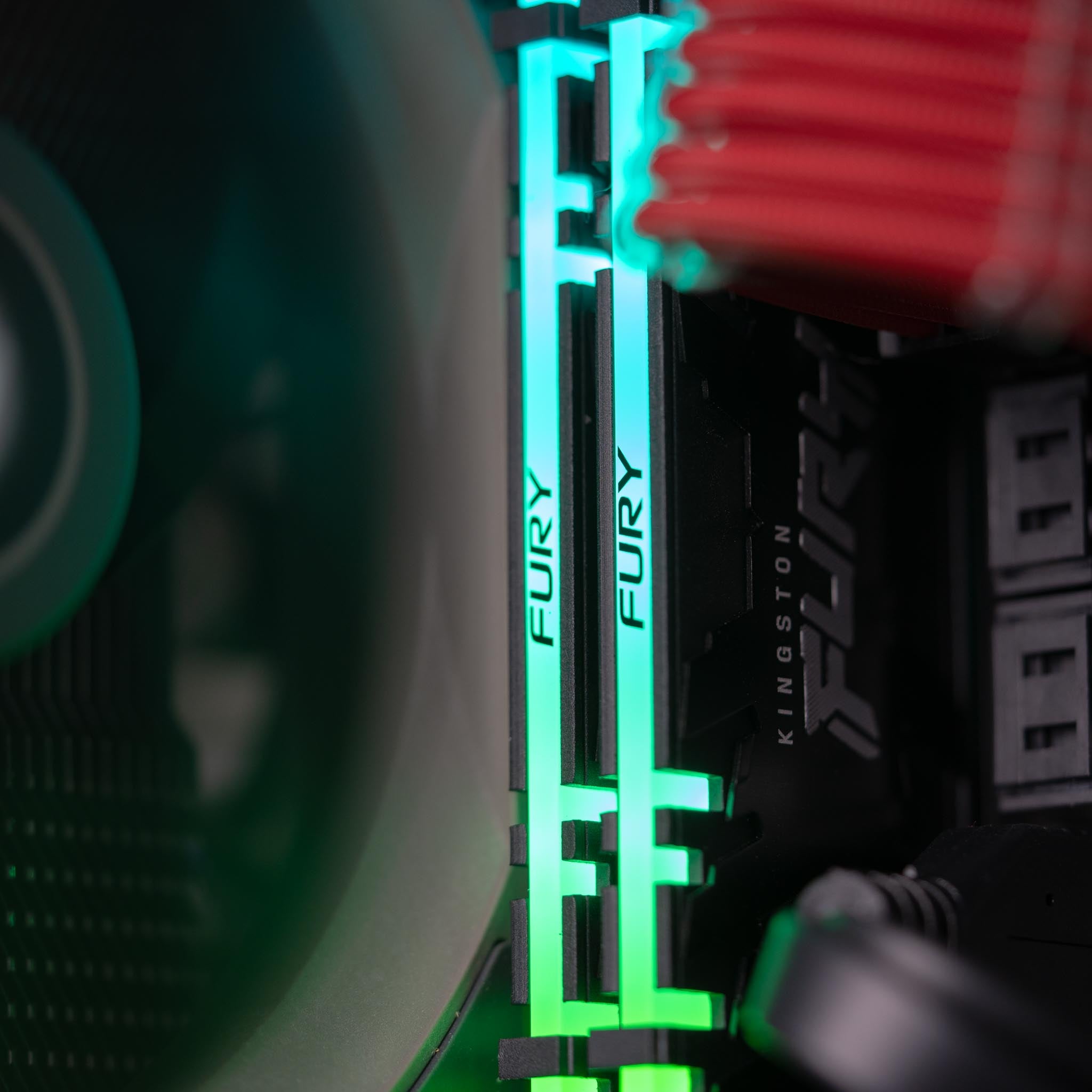 The Actuarius - AMD - Black