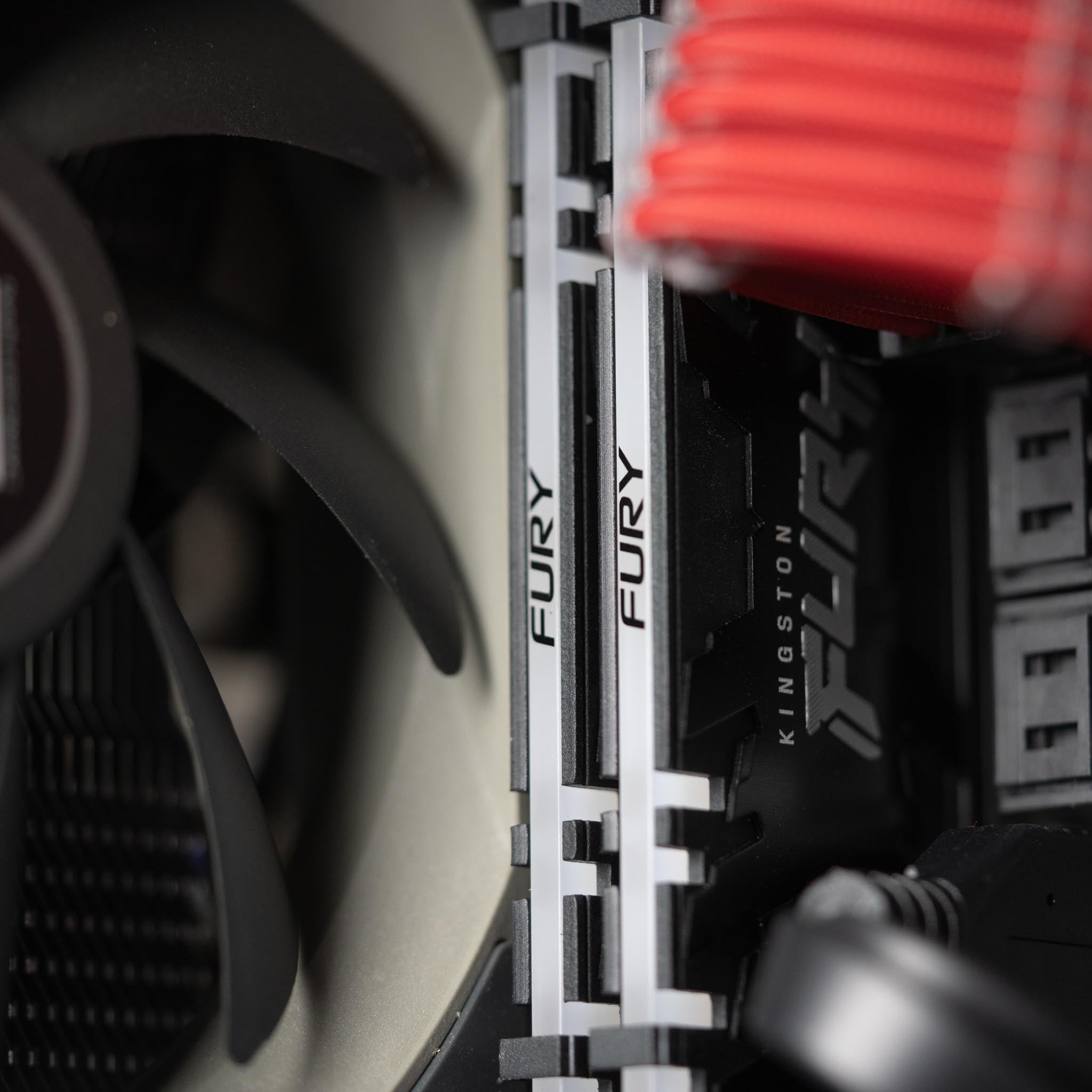 The Actuarius - AMD - Black