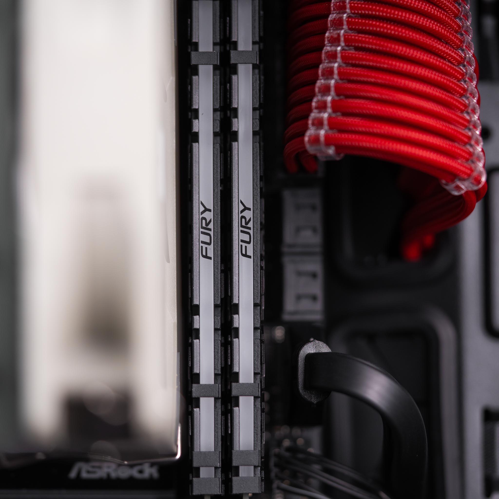 The Actuarius - AMD - Black
