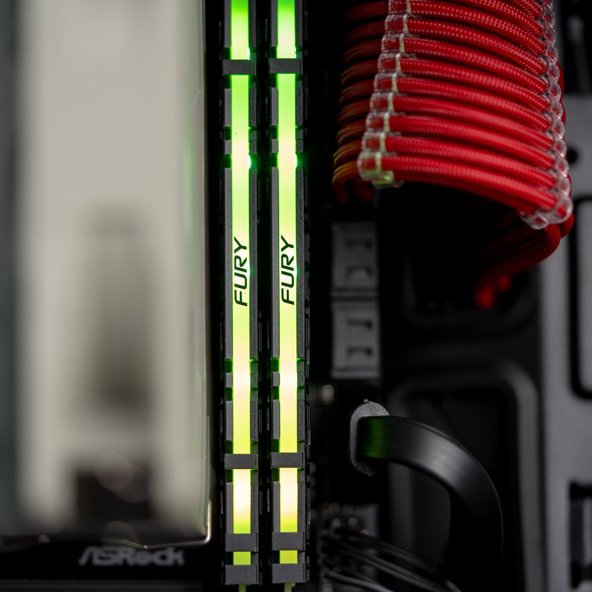 The Actuarius - AMD - Black