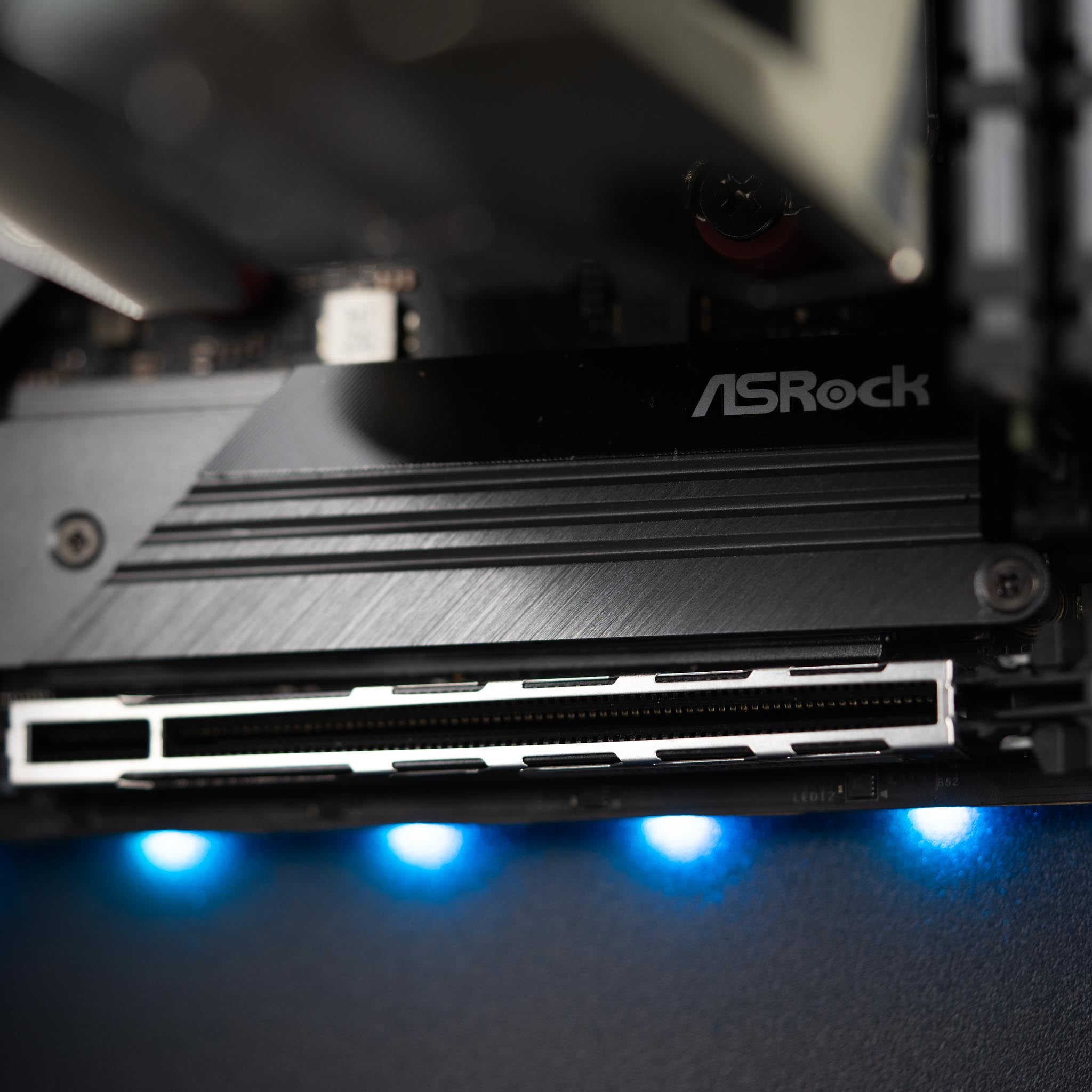 The Actuarius - AMD - Black