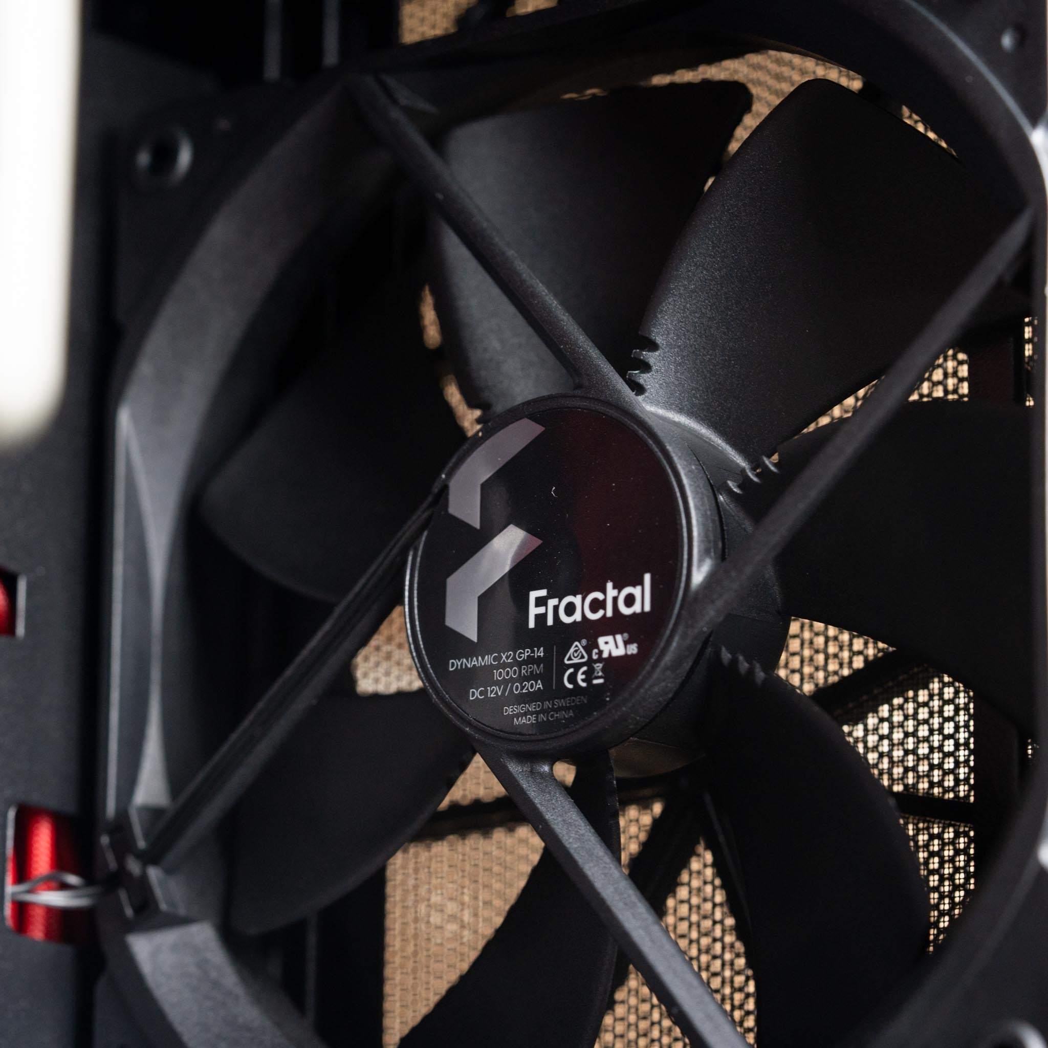 The Actuarius - AMD - Black