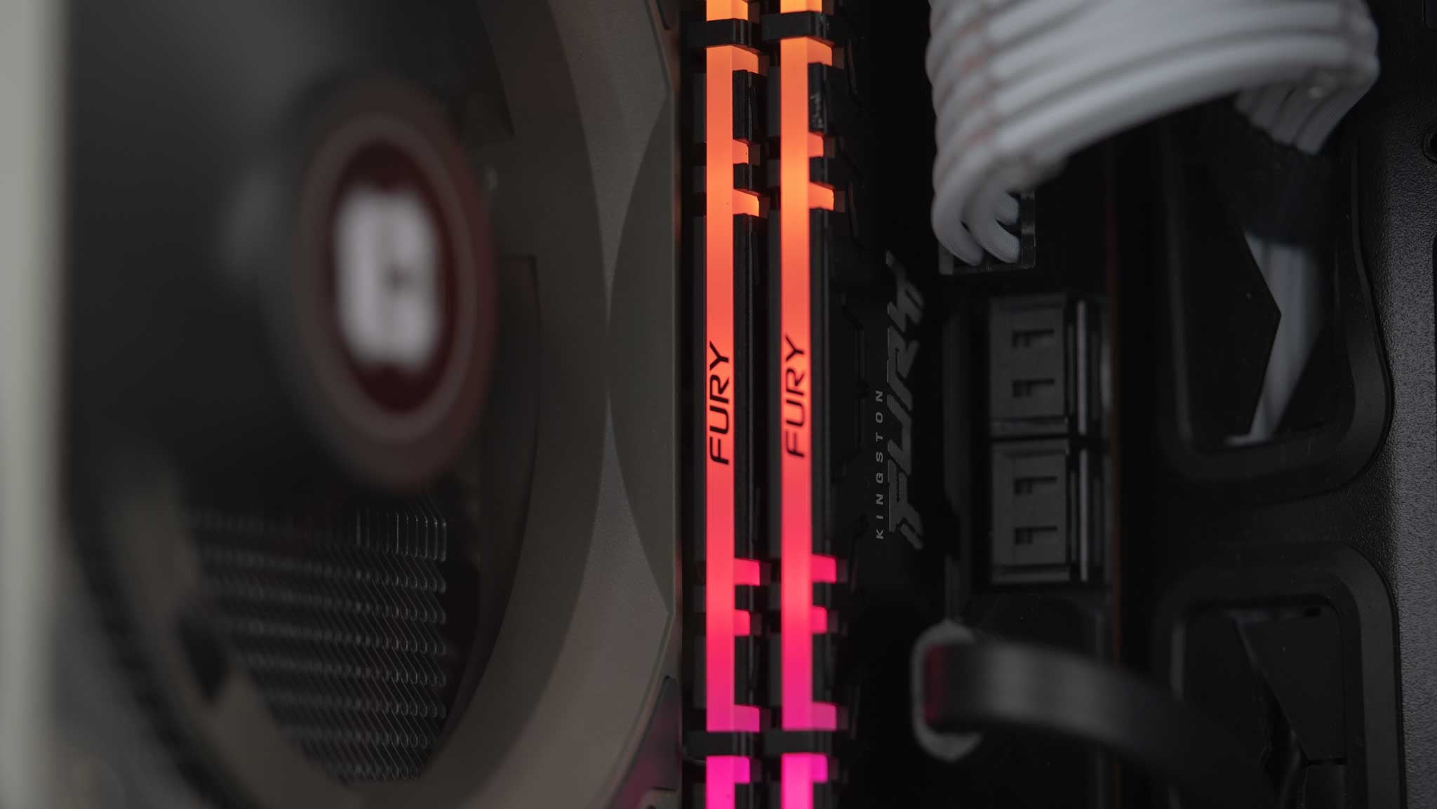 The Actuarius - AMD - White