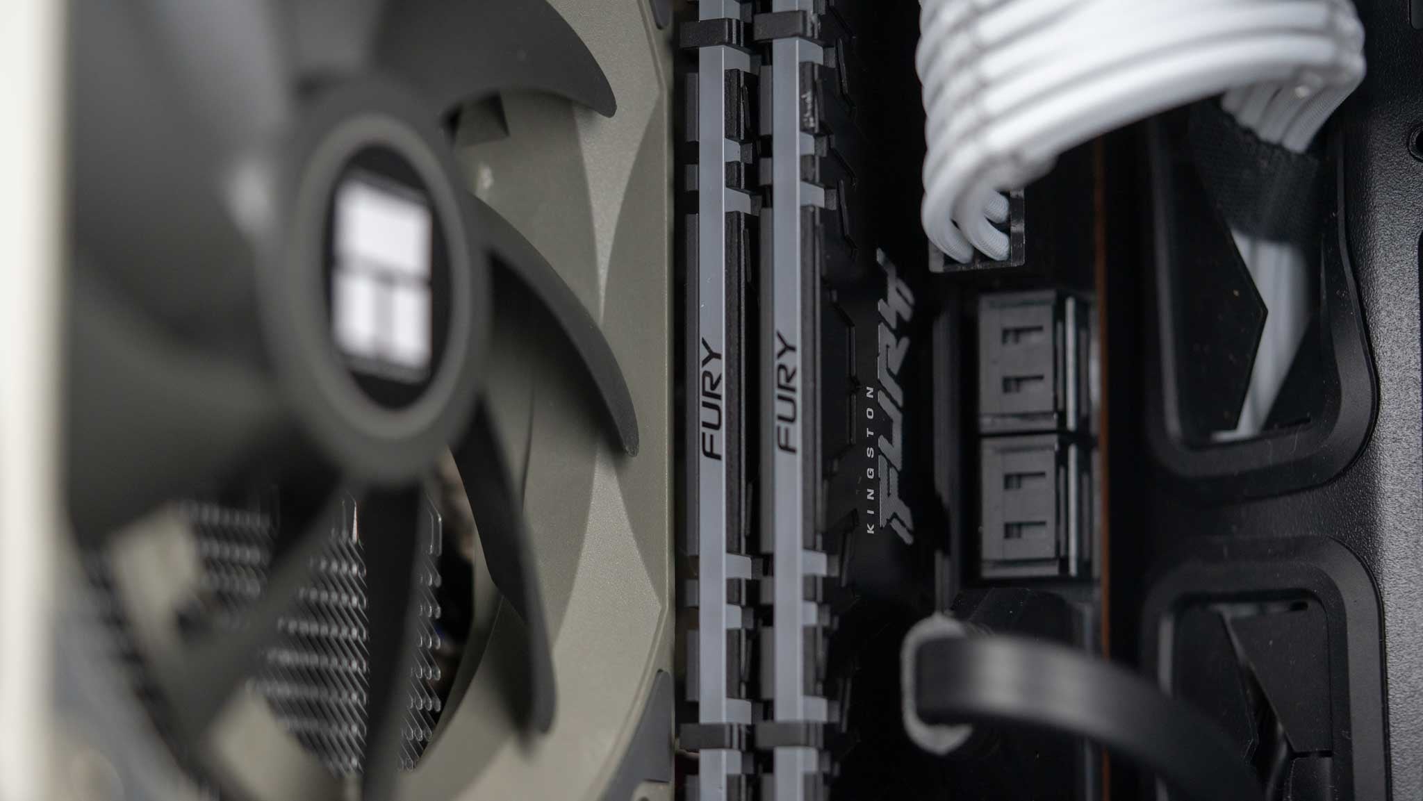 The Actuarius - AMD - White