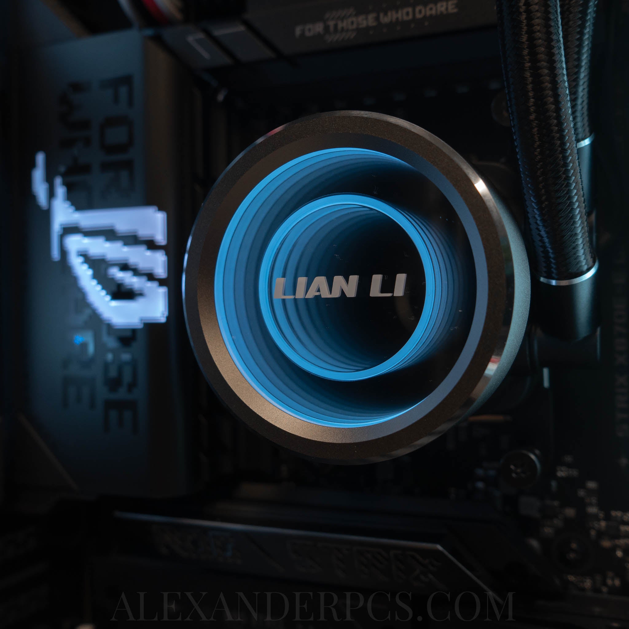 The Gladiator 2.1